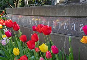 spu sign with colorful tulips